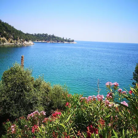 Case de vacanță Bel Air *