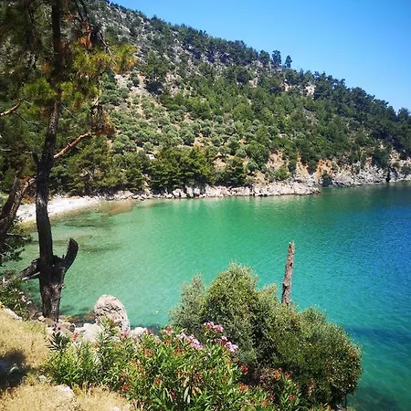 Case de vacanță Bel Air *